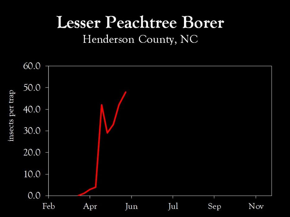 Chart showing insect population trends