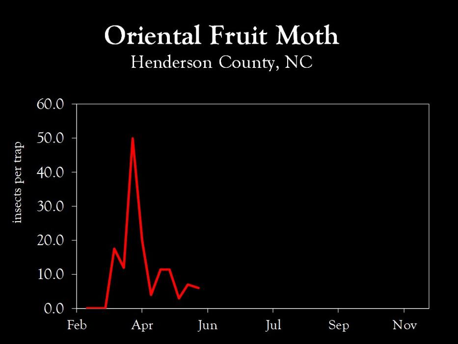 Chart showing insect population trends