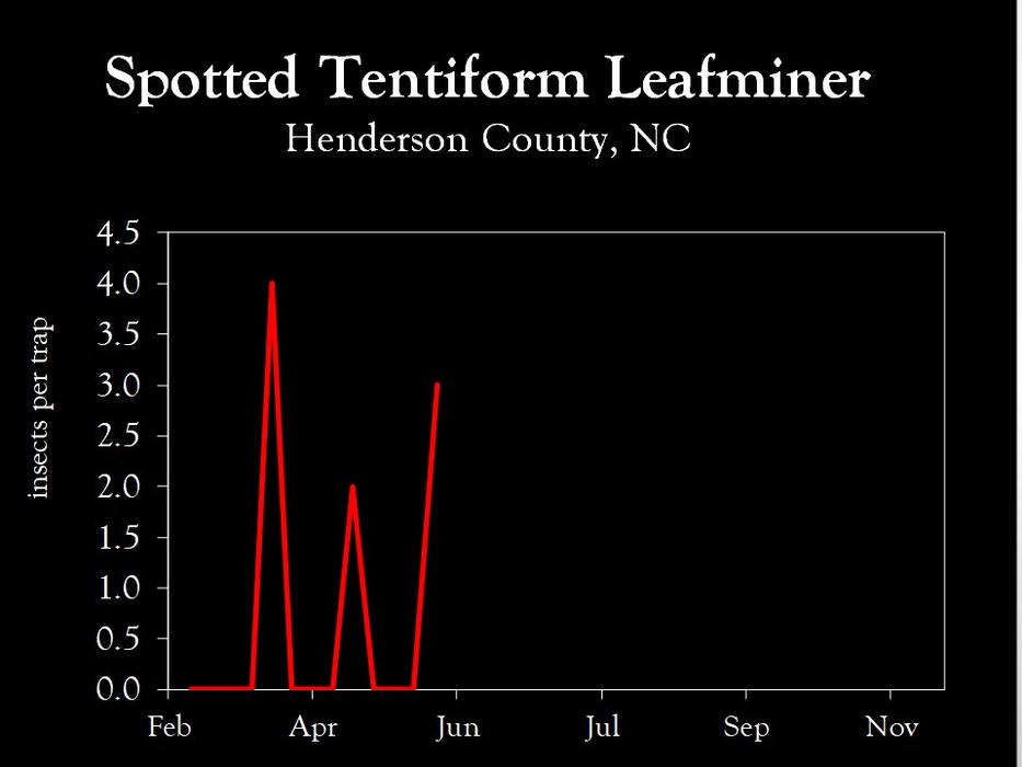 Chart showing insect population trends