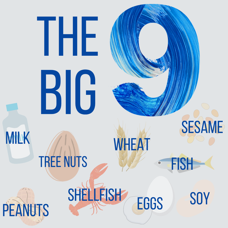 The Big 9 surrounded by images of milk, tree nuts, wheat, sesame, peanuts, shellfish, eggs, soy, and fish
