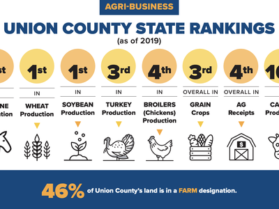 Union County Rankings Chart