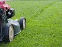 Mowing the lawn