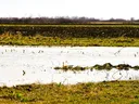 Storm flooded fields