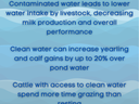water infographic