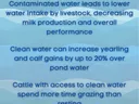 water infographic