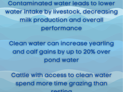 water infographic