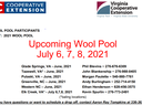 Wool Pool flyer image