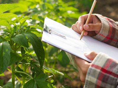 Image of a person holding a clipboard in a field, recording scouting data.
