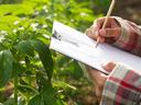 Image of a person holding a clipboard in a field, recording scouting data.