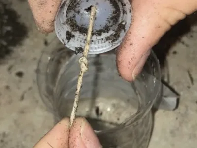 bean in a bottle 