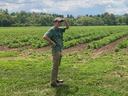 Man in field