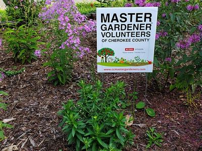 Sign reading "MASTER GARDENER VOLUNTEERS OF CHEROKEE COUNTY" in a flower bed with purple flowers