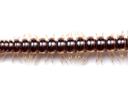 A brown millipede, the greenhouse millipede