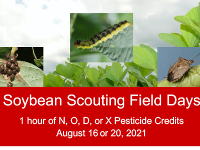 Soybean Field Days