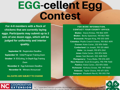 Save the dates! EGG-cellent Egg Contest — Sep 10 registration, Nov 4 submission, Nov 16 winners