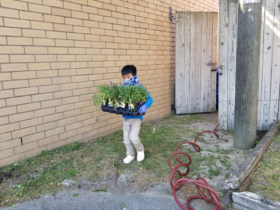 Scotland4HGardenClub