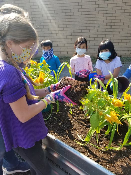 Scotland4HGardenClub