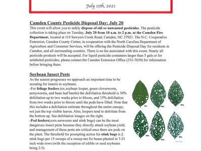 Camden Crop News newsletter dated July 15, 2021 about pesticide disposal and soybean pests