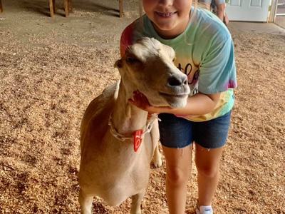 4-H member Peyton practices goat showmanship.
