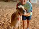 4-H member Peyton practices goat showmanship.