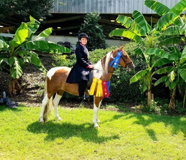 Girl on horse