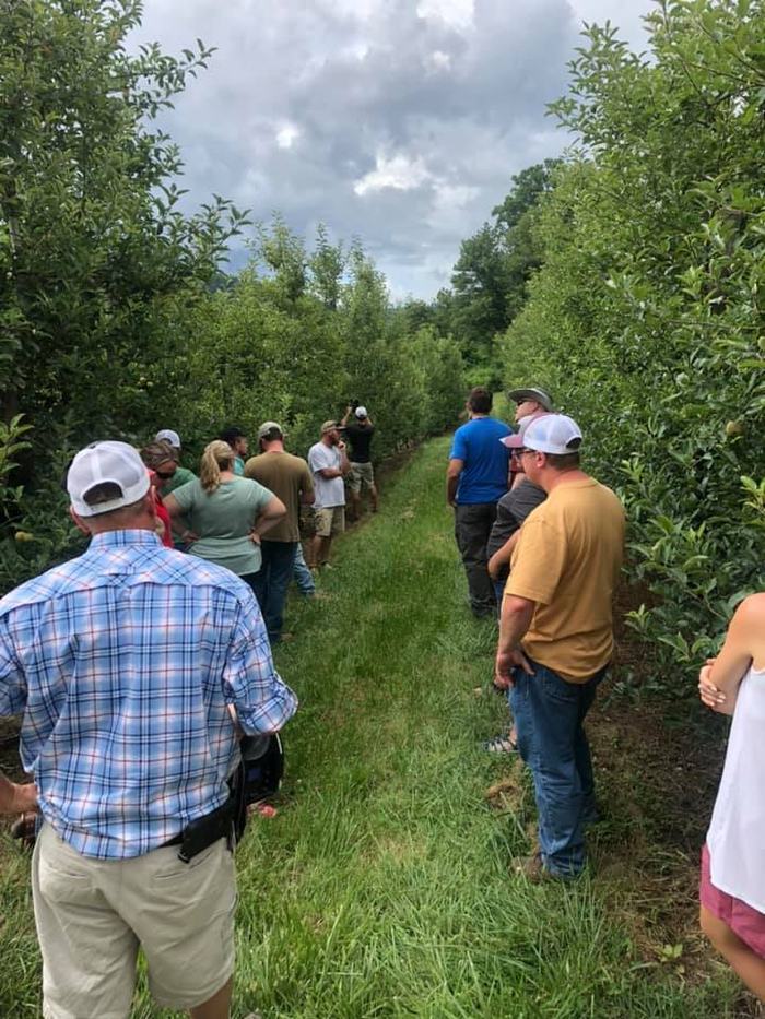 People touring an orchard