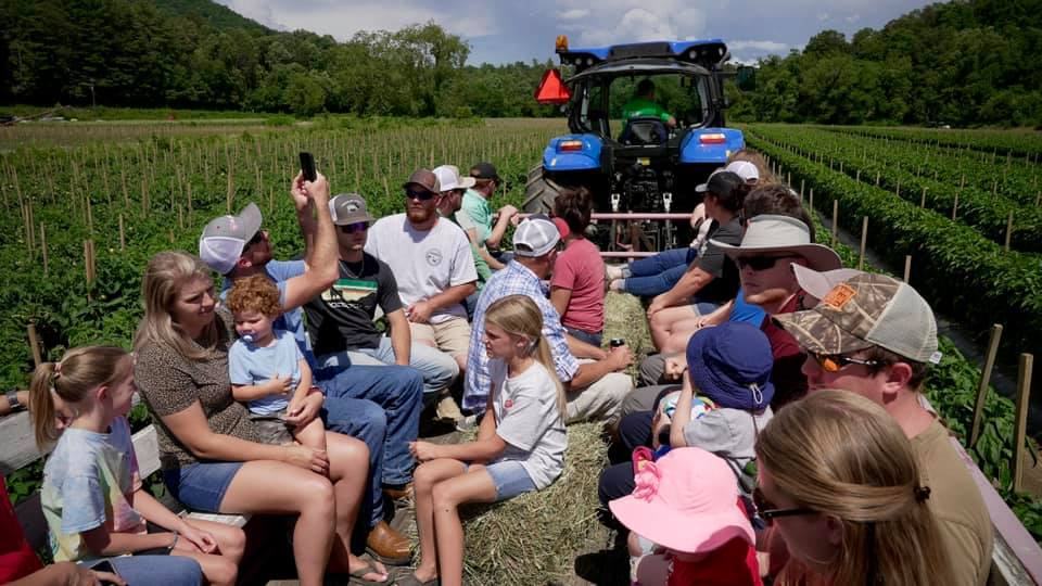 People sitting on hay bales