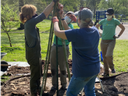 Four people setting and securing stakes around a young tree in a park