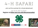 Safari