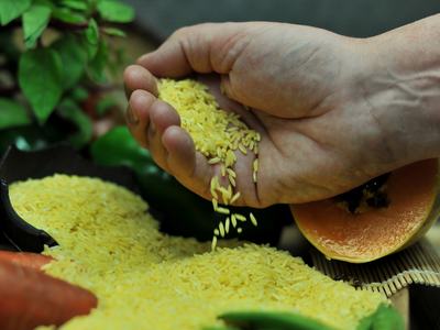 Hand pouring yellow rice grains onto a pile beside a halved papaya