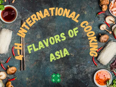 flavors of Asia flyer