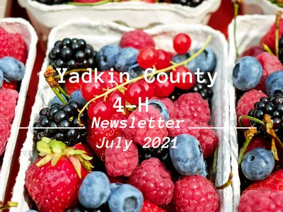 Mixed berries in cartons with text "Yadkin County 4-H Newsletter July 2021"