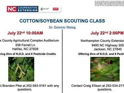 Cotton/Soybean Scouting Class July 22 10:00AM Halifax; 2:00PM Northampton