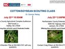 Cotton/Soybean Scouting Class July 22 10:00AM Halifax; 2:00PM Northampton