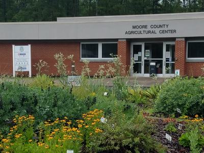 Building with garden in front