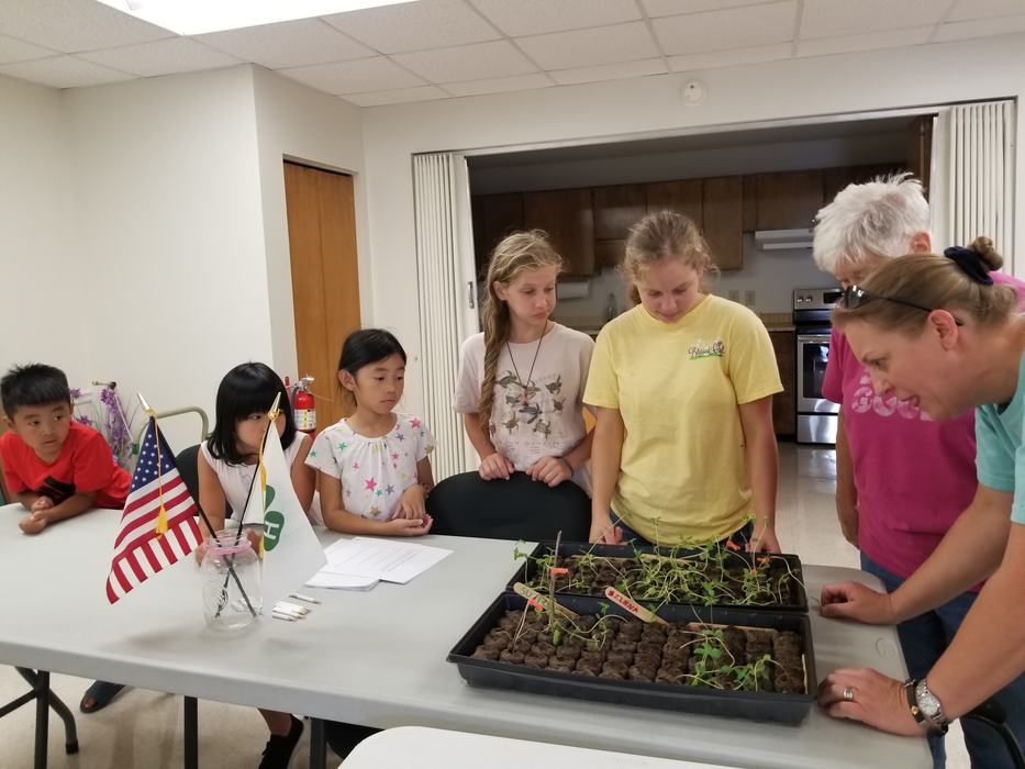 Scotland4HGardenClub