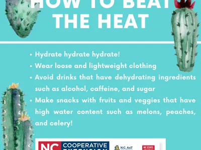 Beat the Heat flyer image