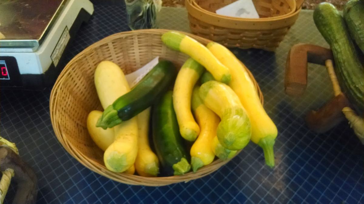 squash in a bowl