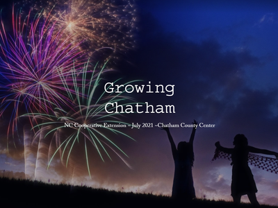 Fireworks over silhouetted figures with text "Growing Chatham" and "NC Cooperative Extension ~ July 2021"