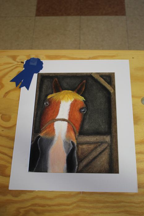 Drawing of a horse head