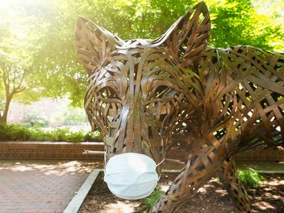 One of the copper wolves at Wolf Plaza on NC State University's campus wears a protective face mask during the COVID-19 pandemic.