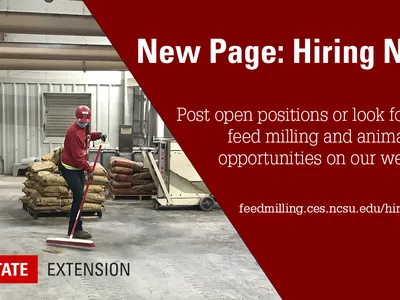 New Page: Hiring Now Banner Image