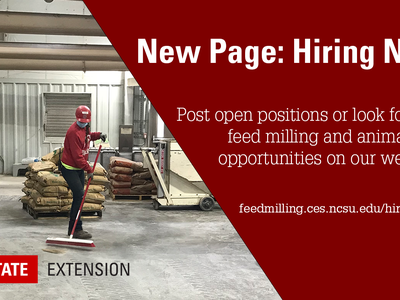 New Page: Hiring Now Banner Image