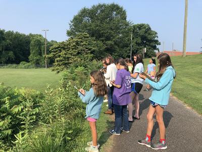 Participants pause during a walk at Redwood Park to record observations of what they see or hear during a 4-H session.