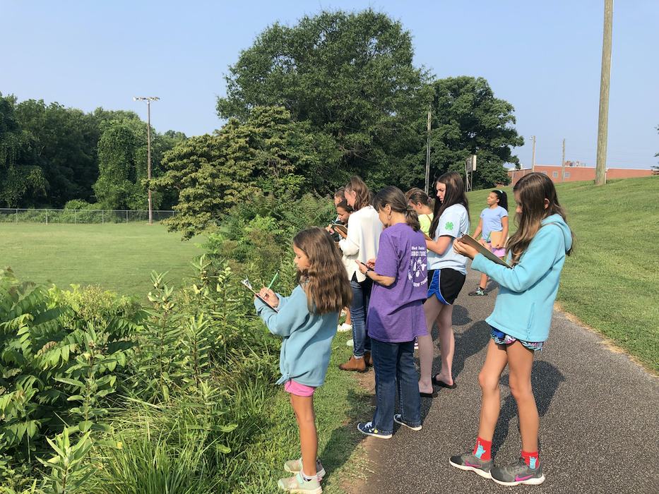Participants pause during a walk at Redwood Park to record observations of what they see or hear during a 4-H session.