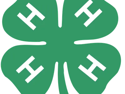 4-H Clover