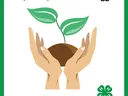 Hands holding seedling; text "Plant, Grow, & Eat Your Veggies!"; 4-H clover logo