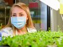 Female scientist at NC State University conducts research with plants while wearing a face mask.