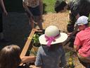 4 youth and an adult working in a small raised bed garden.