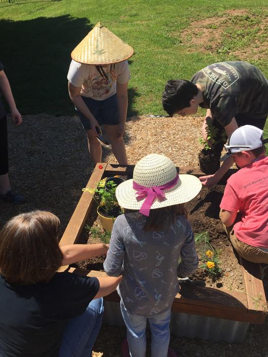 4 youth and an adult working in a small raised bed garden.